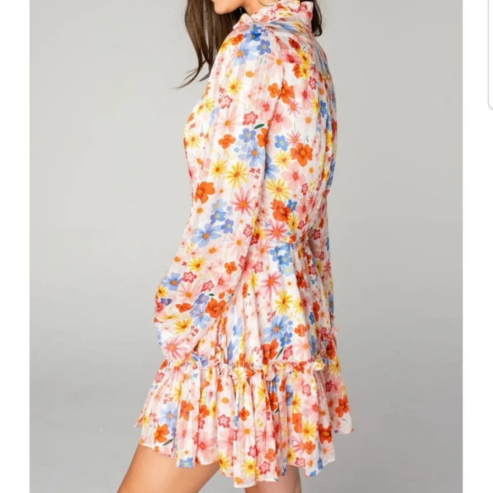 Buddy Love Grace Long Sleeve Shirt Dress Wild Flower Sixe XS - Picture 4 of 15